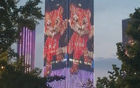 虎哥和连宝同框，足球城排面拉满