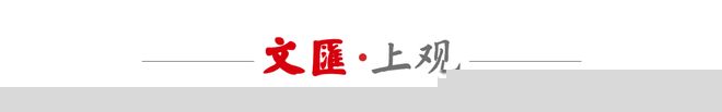 世界杯｜登场45分钟的背后，是这位奥地利中锋与五年内三次重伤的不懈抗争